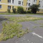 zdjęcie nr 15