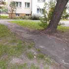 Fotka nr 5 z 13
