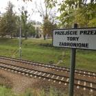 zdjęcie nr 9
