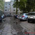 Fotka nr 4 z 15