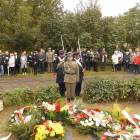 zdjęcie nr 49