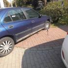 zdjęcie nr 8