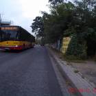 Fotka nr 4 z 10