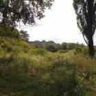 zdjęcie nr 24