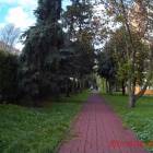 zdjęcie nr 8