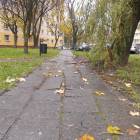 zdjęcie nr 22