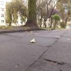 zdjęcie nr 30