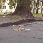 zdjęcie nr 31