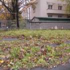 zdjęcie nr 38