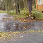 zdjęcie nr 39