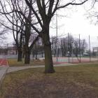 zdjęcie nr 26