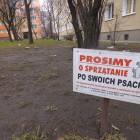zdjęcie nr 24
