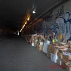 Fotka nr 4 z 12