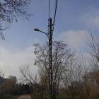 zdjęcie nr 30
