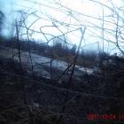 Fotka nr 3 z 14