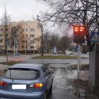 zdjęcie nr 13