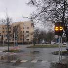 zdjęcie nr 15