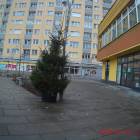 zdjęcie nr 12