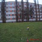 zdjęcie nr 23