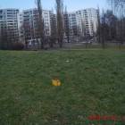 zdjęcie nr 30
