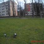 zdjęcie nr 36