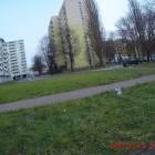 zdjęcie nr 43