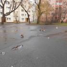 zdjęcie nr 45