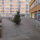 zdjęcie nr 53