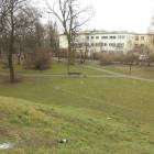 zdjęcie nr 55