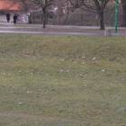zdjęcie nr 56