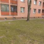 zdjęcie nr 11