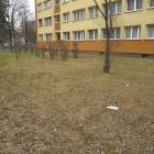 zdjęcie nr 15