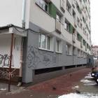 Fotka nr 4 z 8