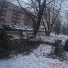 zdjęcie nr 16
