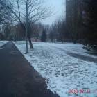 zdjęcie nr 42