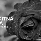 Fotka nr 0 z 1