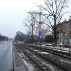 Fotka nr 5 z 7