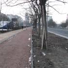 zdjęcie nr 10