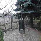 zdjęcie nr 9