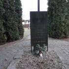 zdjęcie nr 15