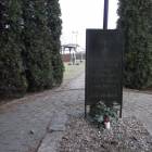 zdjęcie nr 16