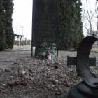 zdjęcie nr 17