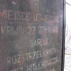 zdjęcie nr 22