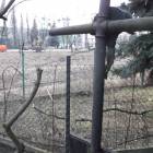 zdjęcie nr 24