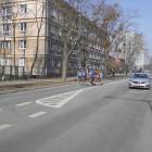 Fotka nr 4 z 34