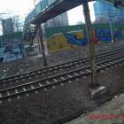 Fotka nr 4 z 33