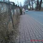 zdjęcie nr 19