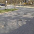 zdjęcie nr 35