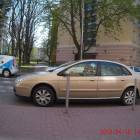 zdjęcie nr 7