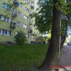 Fotka nr 2 z 13